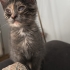 KÜÇÜCÜK BİR BEBEK fotoğraf