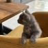 KÜÇÜCÜK BİR BEBEK fotoğraf