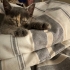 KÜÇÜCÜK BİR BEBEK fotoğraf