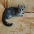 SOKAĞA DÖNMESİN fotoğraf