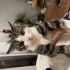 Sevecen bebek sokaklara dönmesin fotoğraf