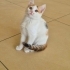 ÇOCUKLAR HIRPALARKEN ELLERİNDEN ALINDI AMA DEPODA KALIYOR.NEOLUR YUVA fotoğraf