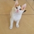 ÇOCUKLAR HIRPALARKEN ELLERİNDEN ALINDI AMA DEPODA KALIYOR.NEOLUR YUVA fotoğraf