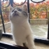 GIDIKLI YUVA ARIYOR fotoğraf