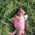 Küçük ırk kibar köpüşe yuva arıyoruz