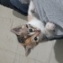 Güzel Kızımız ❤