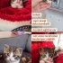 Suratında filtre olan yaramaz ve çok sevecen çocuk