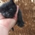 Dügme çok minnak bir kız 🥰💞