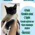 ERKEK YAVRU KEDİYE ACİL YUVA ARIYORUM