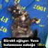 SAVAŞÇI KIZIMIZA ACİL YUVA ARIYORUZ
