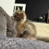 O bir NOKTAAAAaaaa