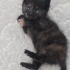 Çok uysal oyuncu bir bebek