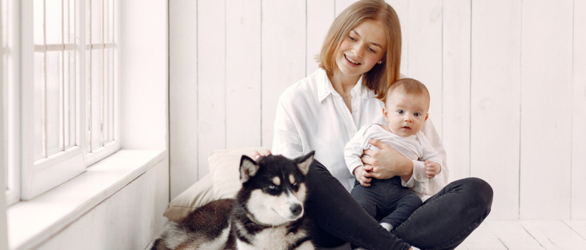 Bebek ve Köpek: İlk Tanışmada Nelere Dikkat Etmeli?