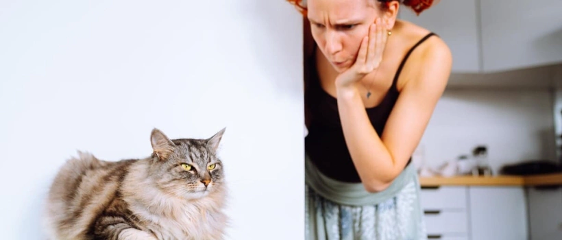 Hipoalerjenik Kedi Irkları