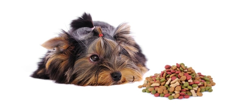 Köpek Mamalarında Hayvansal Yan Ürünler Nelerdir?