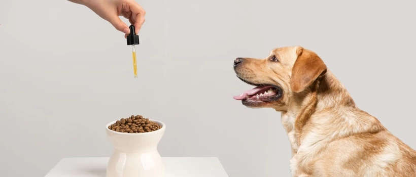 Köpeklerin Beslenmesinde Prebiyotikler ve Probiyotikler