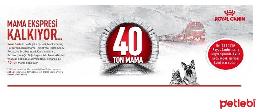"Mama Ekspresi" Projesi Kapsamında Royal Canin'in Desteği ile 40 Ton Mama Bağışlanacak