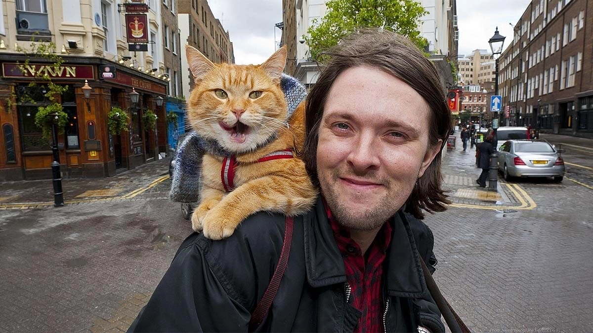 Sokak Kedisi Bob: Gerçek Hikâyesi, Kitapları ve Hayranlarıyla Unutulmaz Yolculuğu