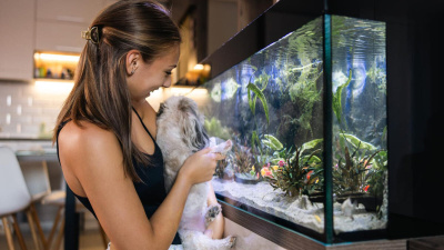Akvaryumda Balık Beslemenin Faydaları Nelerdir?