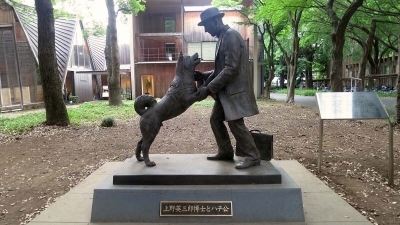 Hachiko: Sadakatin Simgesi Olan Gerçek Köpek Hikâyesi ve Anıtı