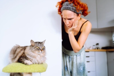 Hipoalerjenik Kedi Irkları