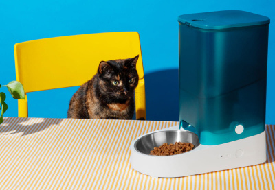 Kedi Maması Seçerken Dikkat Etmeniz Gerekenler