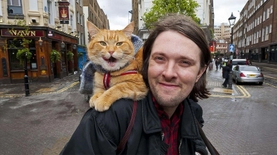 Sokak Kedisi Bob: Gerçek Hikâyesi, Kitapları ve Hayranlarıyla Unutulmaz Yolculuğu