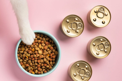 Zayıf Kedilere Kilo Aldıran Kedi Mamaları