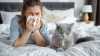 Kedi Alerjisi: Nedenleri, Zararları, Belirtileri ve Tedavisi