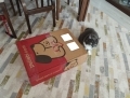 Yorum fotoğrafı