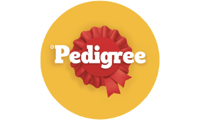 Pedigree Köpek Maması
