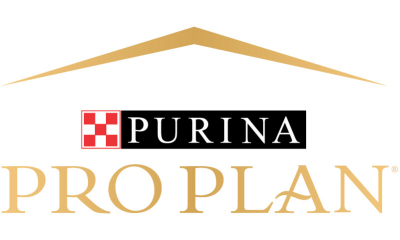 Pro Plan Yetişkin Kedi Maması