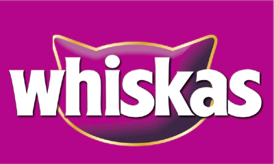 Whiskas Kedi Konserve Maması