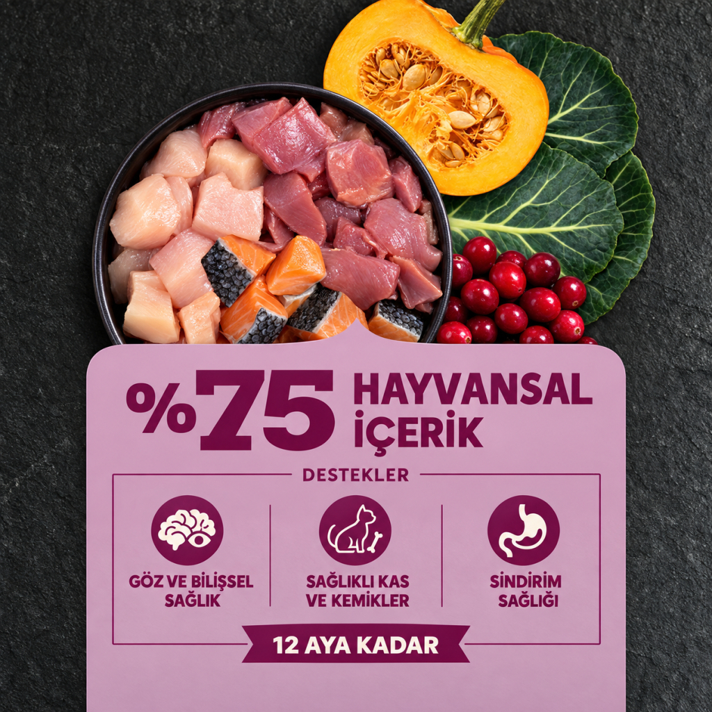 Acana Kitten Tavuklu Hindili ve Balıklı Tahılsız Yavru Kedi Maması 1,8kg