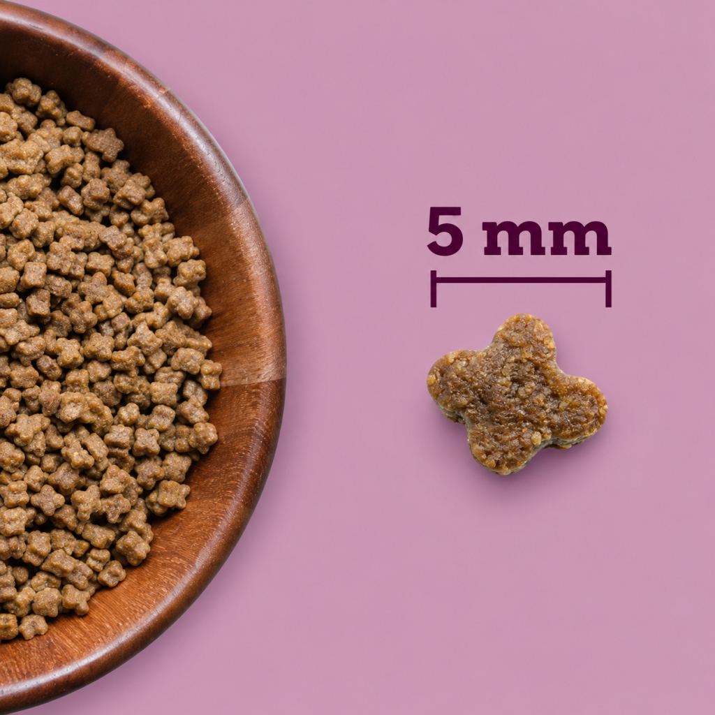 Acana Kitten Tavuklu Hindili ve Balıklı Tahılsız Yavru Kedi Maması 1,8kg