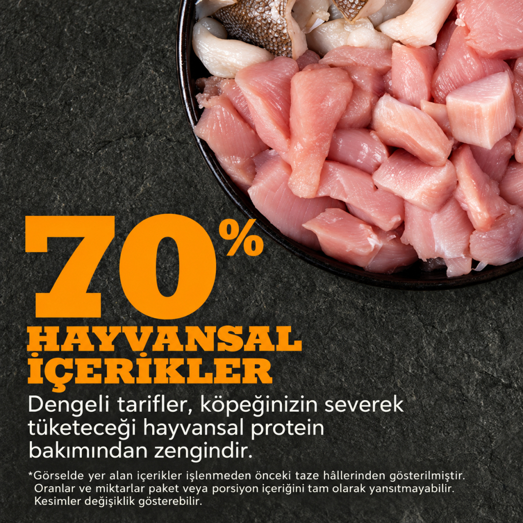 Acana Large Puppy Tavuklu ve Ringa Balıklı Büyük Irk Tahılsız Yavru Köpek Maması 11,4kg