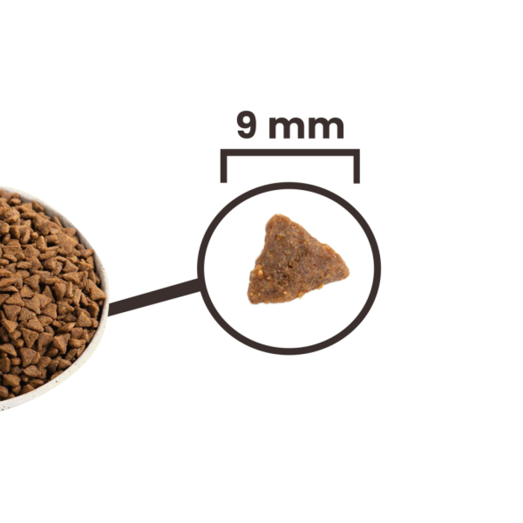 Acana Bountiful Catch Somonlu ve Ringa Balıklı Tahılsız Yetişkin Kedi Maması 1,8kg