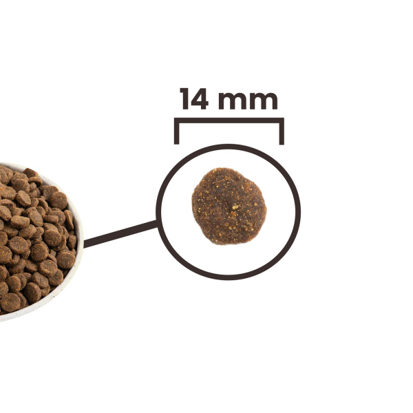 Acana Free-Run Duck Ördekli Tahılsız Yetişkin Köpek Maması 11,4kg