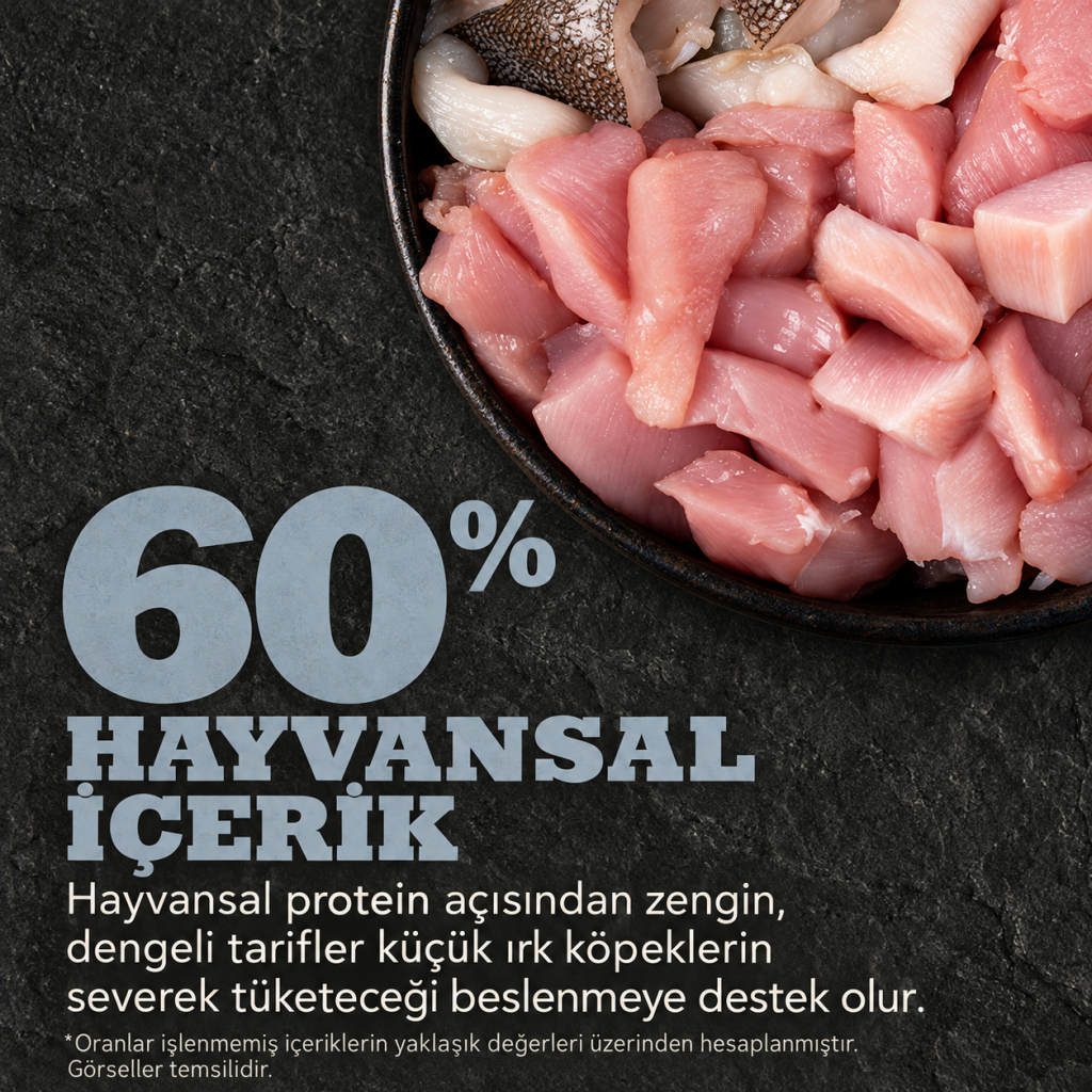 Acana Small Adult Tavuklu Hindili ve Ringa Balıklı Küçük Irk Tahılsız Yetişkin Köpek Maması 2kg