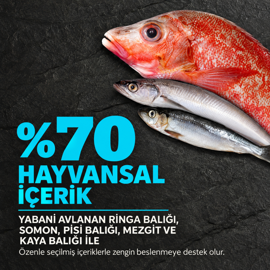 Acana Pacifica Zengin Balık Çeşitli Tahılsız Köpek Maması 2kg