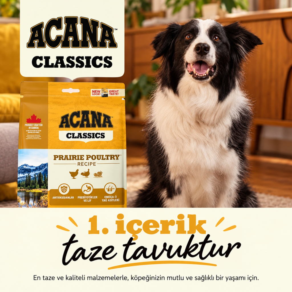Acana Classics Prairie Poultry Tavuklu ve Hindili Köpek Maması 2kg
