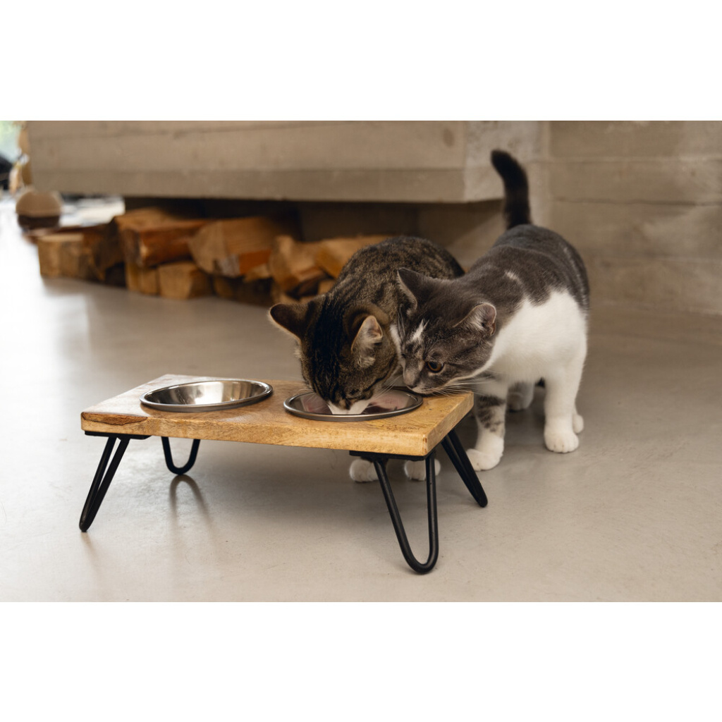 Beeztees Dbl Paslanmaz Çelik Kedi İkili Mama ve Su Kabı 31x16x10cm