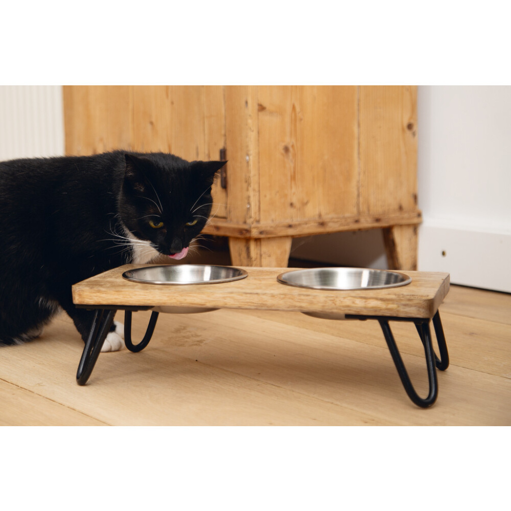 Beeztees Dbl Paslanmaz Çelik Kedi İkili Mama ve Su Kabı 31x16x10cm