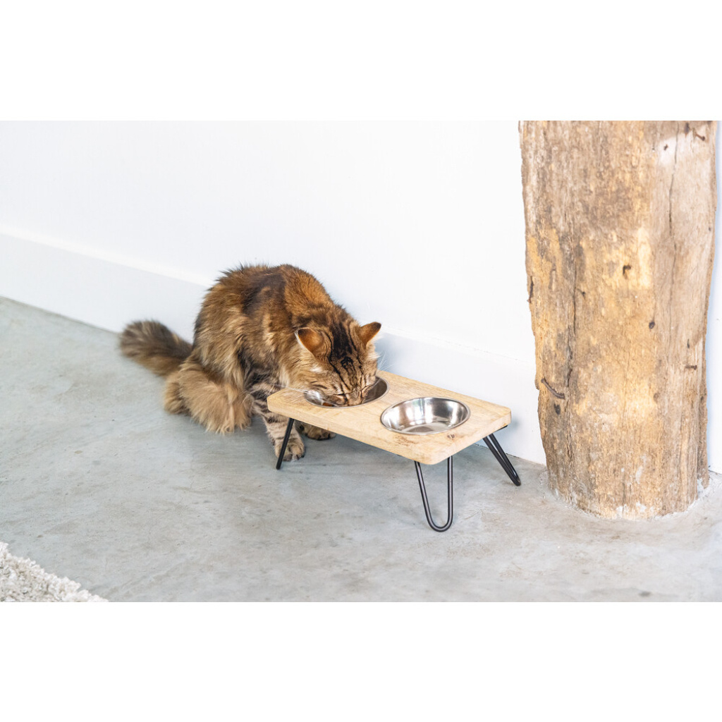 Beeztees Dbl Paslanmaz Çelik Kedi İkili Mama ve Su Kabı 31x16x10cm