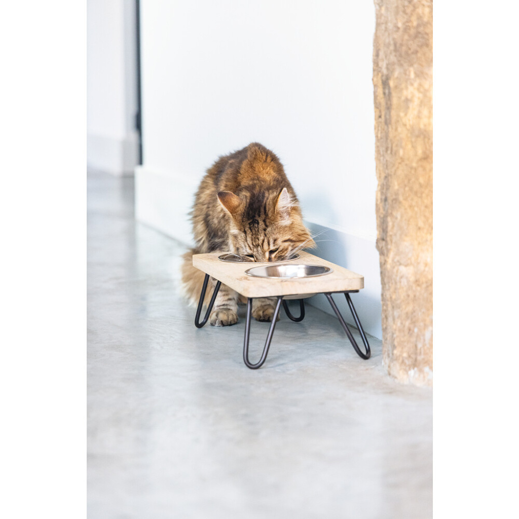 Beeztees Dbl Paslanmaz Çelik Kedi İkili Mama ve Su Kabı 31x16x10cm