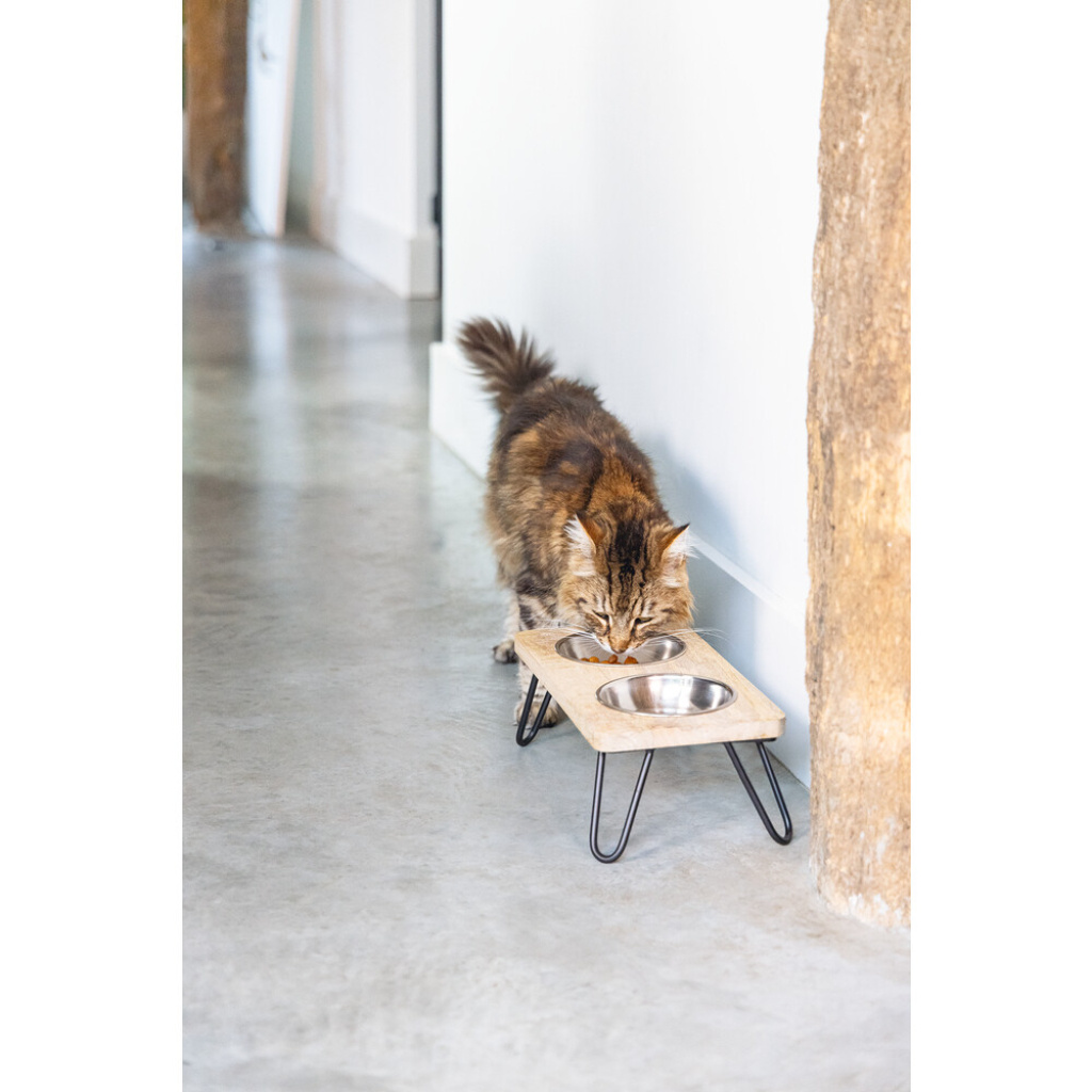 Beeztees Dbl Paslanmaz Çelik Kedi İkili Mama ve Su Kabı 31x16x10cm