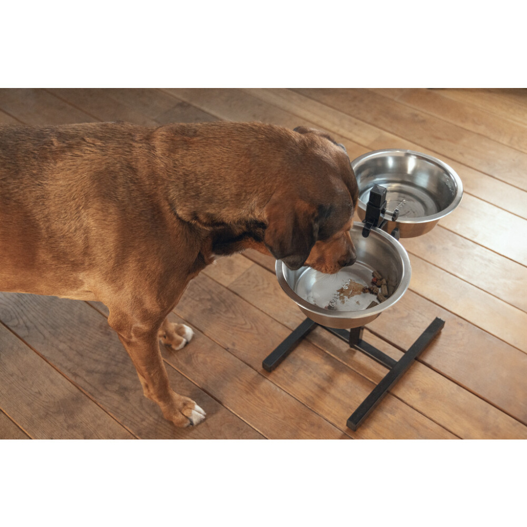 Beeztees Paslanmaz Çelik Köpek İkili Mama Su Kabı 28cm