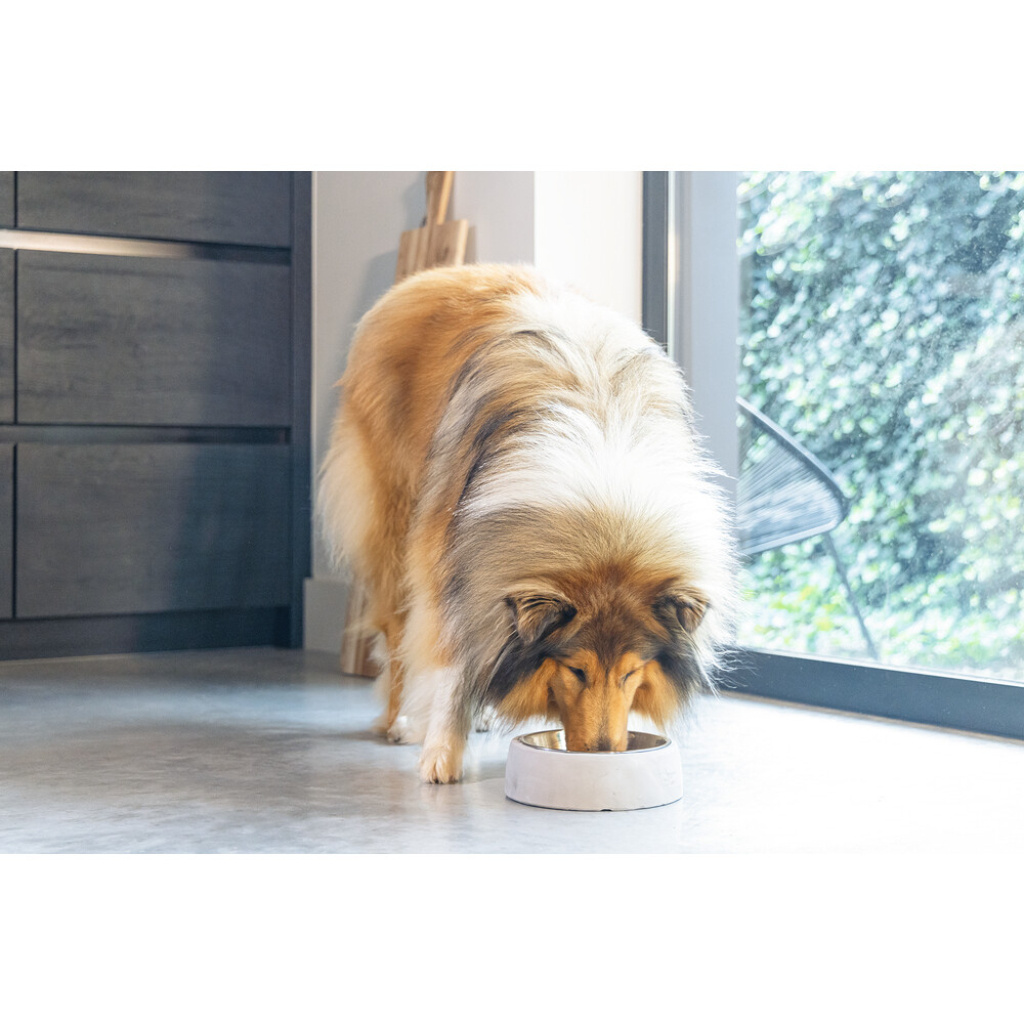 Beeztees Dbl Çelik Köpek Mama Su Kabı 700ml