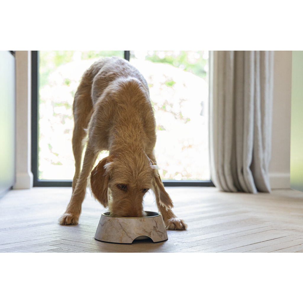 Beeztees Dbl Paslanmaz Çelik Köpek Mama Su Kabı 700ml (Bej Mermer)