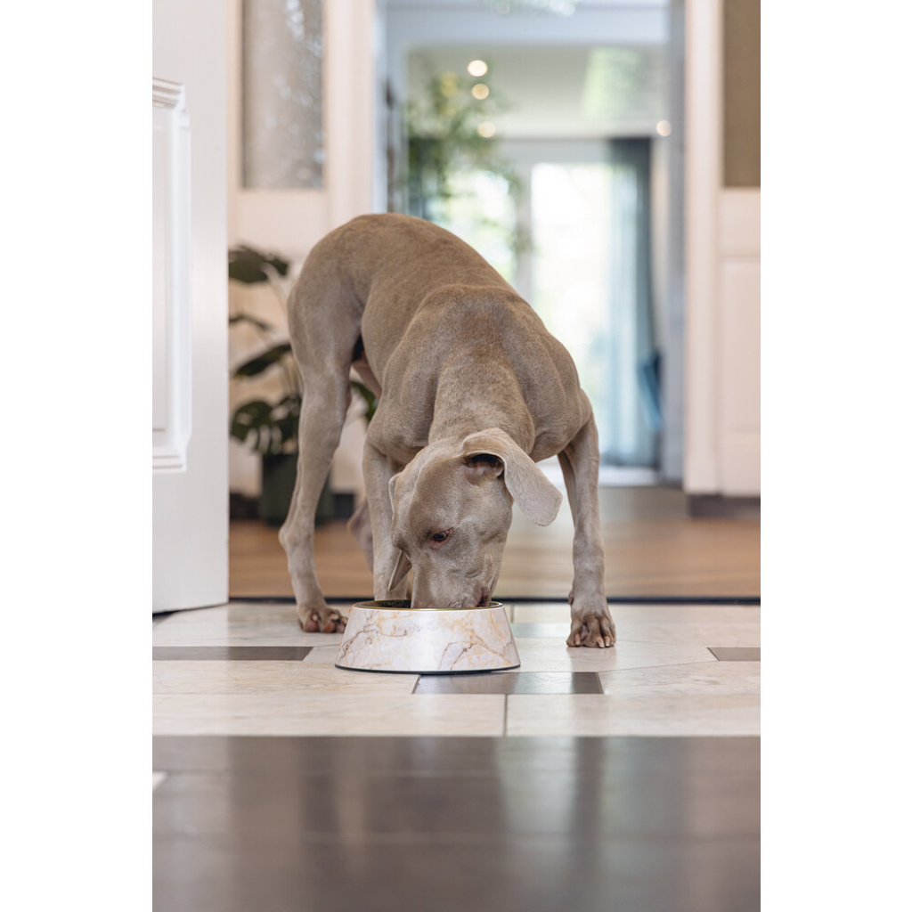 Beeztees Dbl Paslanmaz Çelik Köpek Mama Su Kabı 700ml (Bej Mermer)